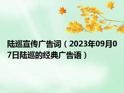 陆巡宣传广告词（2023年09月07日陆巡的经典广告语）