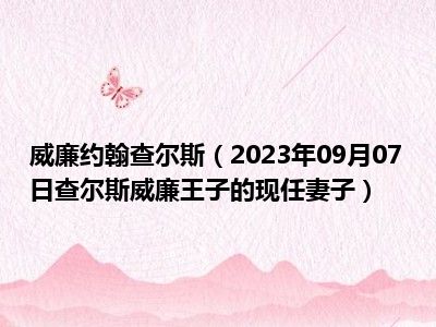 威廉约翰查尔斯（2023年09月07日查尔斯威廉王子的现任妻子）