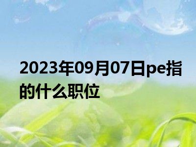 2023年09月07日pe指的什么职位