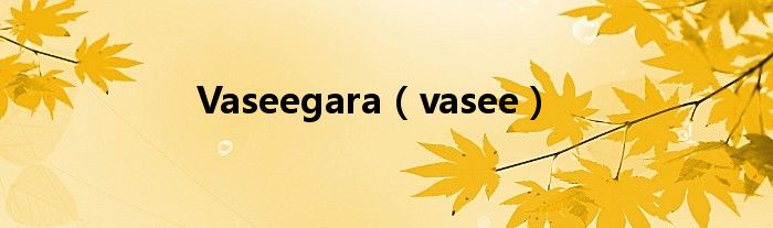  Vaseegara（vasee）