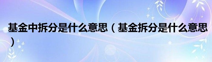  基金中拆分是什么意思（基金拆分是什么意思）