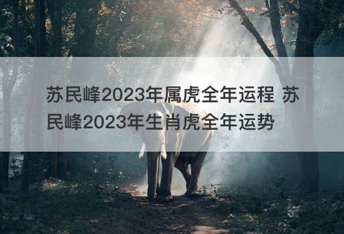 苏民峰2023年属虎全年运程 苏民峰2023年生肖虎全年运势