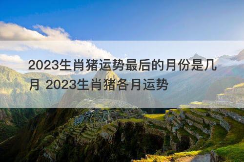 2023生肖猪运势最后的月份是几月 2023生肖猪各月运势