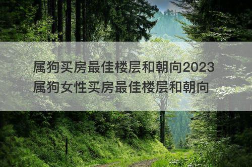 属狗买房最佳楼层和朝向2023 属狗女性买房最佳楼层和朝向