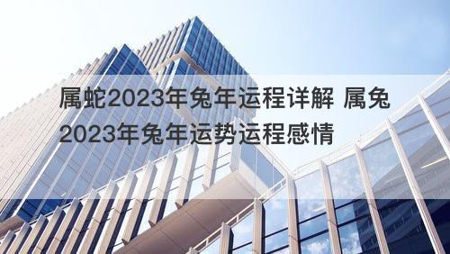 属蛇2023年兔年运程详解 属兔2023年兔年运势运程感情