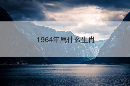 1964年属什么生肖