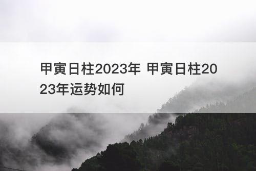 甲寅日柱2023年 甲寅日柱2023年运势如何