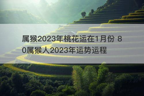 属猴2023年桃花运在1月份 80属猴人2023年运势运程