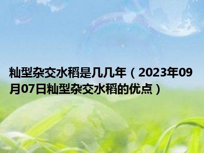 籼型杂交水稻是几几年（2023年09月07日籼型杂交水稻的优点）