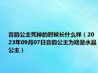 音韵公主死掉的时候长什么样（2023年09月07日音韵公主为啥是水晶公主）