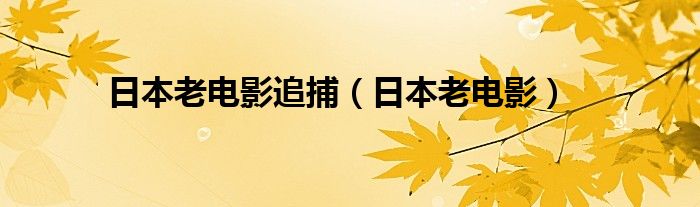  日本老电影追捕（日本老电影）