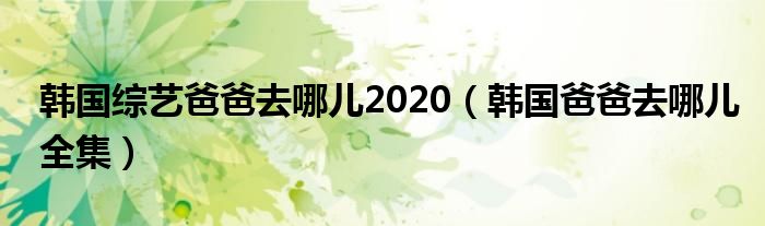  韩国综艺爸爸去哪儿2020（韩国爸爸去哪儿全集）