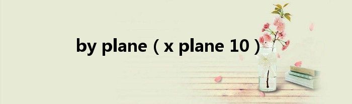  by plane（x plane 10）