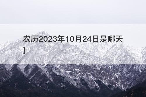 农历2023年10月24日是哪天]