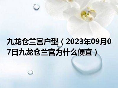 九龙仓兰宫户型（2023年09月07日九龙仓兰宫为什么便宜）