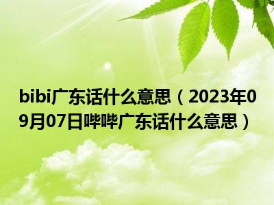 bibi广东话什么意思（2023年09月07日哔哔广东话什么意思）