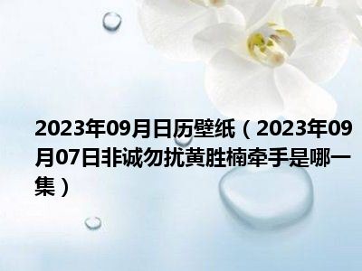 2023年09月日历壁纸（2023年09月07日非诚勿扰黄胜楠牵手是哪一集）