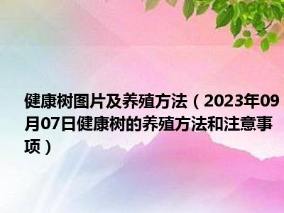 健康树图片及养殖方法（2023年09月07日健康树的养殖方法和注意事项）