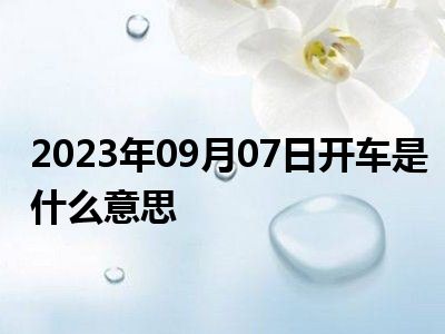 2023年09月07日开车是什么意思