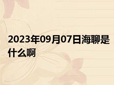 2023年09月07日海聊是什么啊