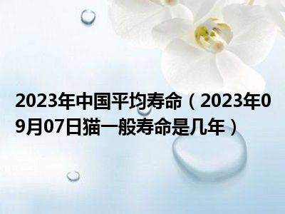 2023年中国平均寿命（2023年09月07日猫一般寿命是几年）
