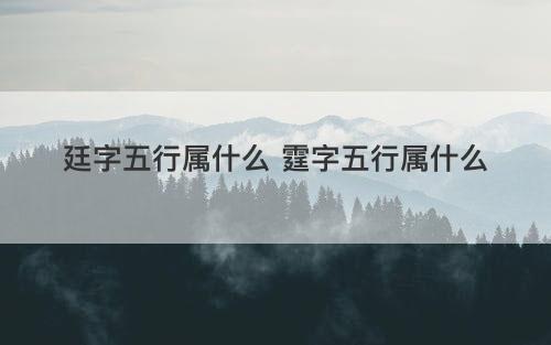 廷字五行属什么 霆字五行属什么