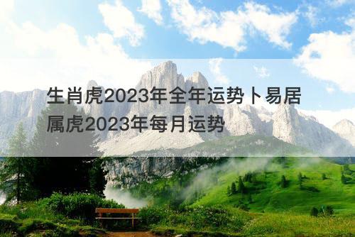 生肖虎2023年全年运势卜易居 属虎2023年每月运势