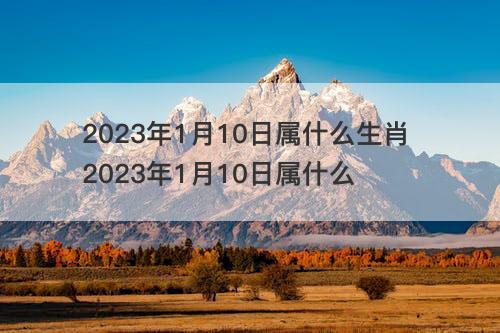 2023年1月10日属什么生肖 2023年1月10日属什么