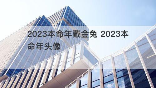 2023本命年戴金兔 2023本命年头像