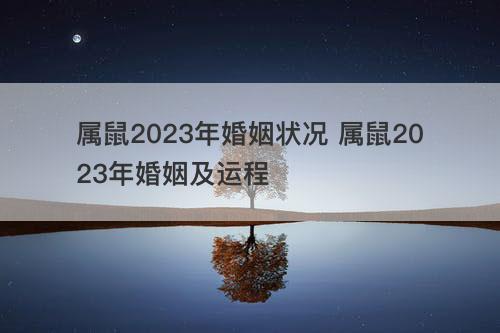 属鼠2023年婚姻状况 属鼠2023年婚姻及运程