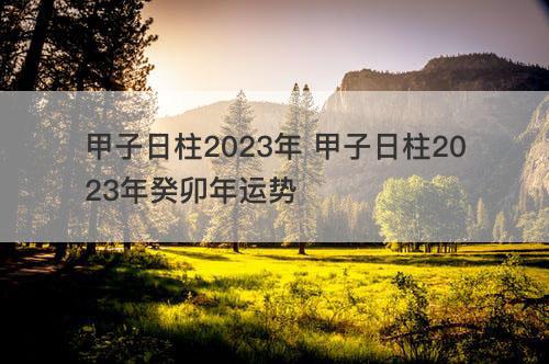 甲子日柱2023年 甲子日柱2023年癸卯年运势