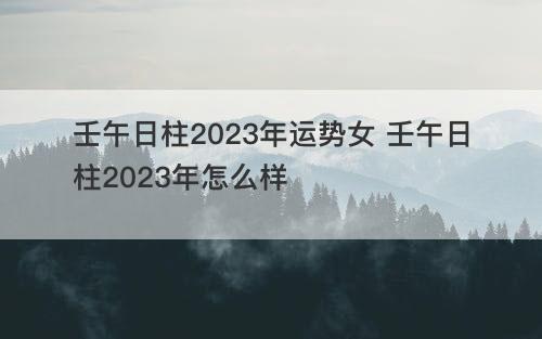 壬午日柱2023年运势女 壬午日柱2023年怎么样