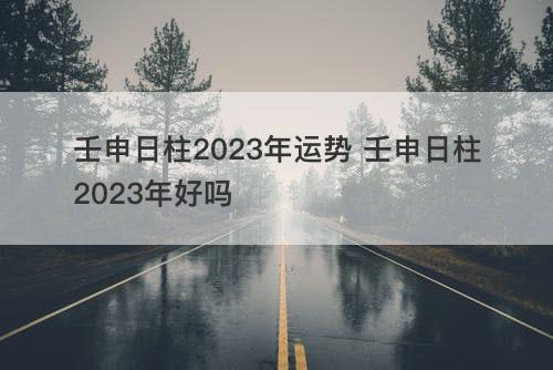 壬申日柱2023年运势 壬申日柱2023年好吗