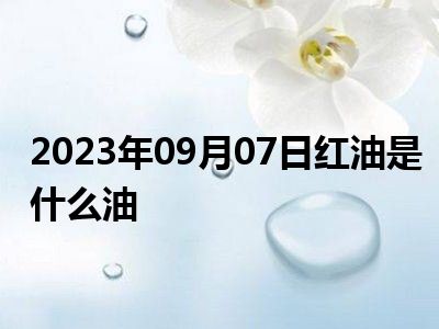 2023年09月07日红油是什么油