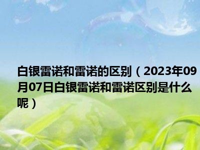 白银雷诺和雷诺的区别（2023年09月07日白银雷诺和雷诺区别是什么呢）