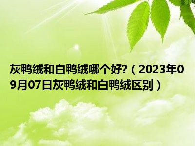 灰鸭绒和白鸭绒哪个好 （2023年09月07日灰鸭绒和白鸭绒区别）