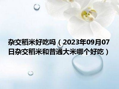 杂交稻米好吃吗（2023年09月07日杂交稻米和普通大米哪个好吃）