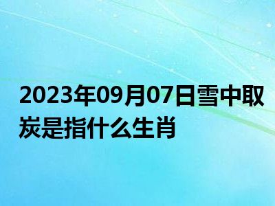 2023年09月07日雪中取炭是指什么生肖