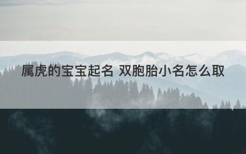 属虎的宝宝起名 双胞胎小名怎么取