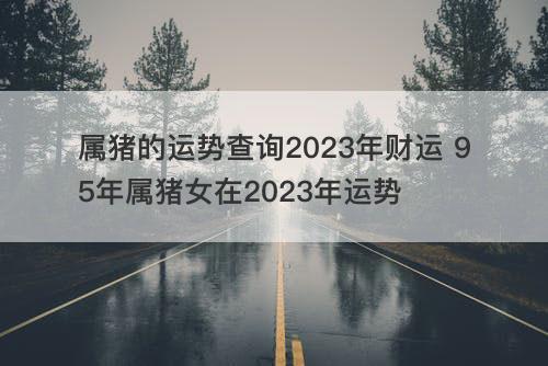 属猪的运势查询2023年财运 95年属猪女在2023年运势