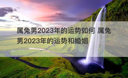 属兔男2023年的运势如何 属兔男2023年的运势和婚姻