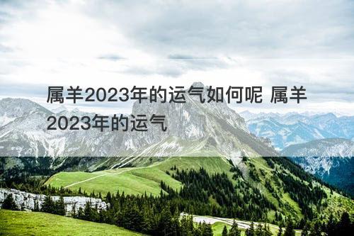 属羊2023年的运气如何呢 属羊2023年的运气