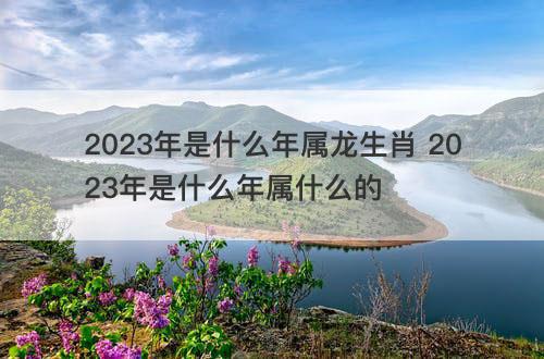 2023年是什么年属龙生肖 2023年是什么年属什么的