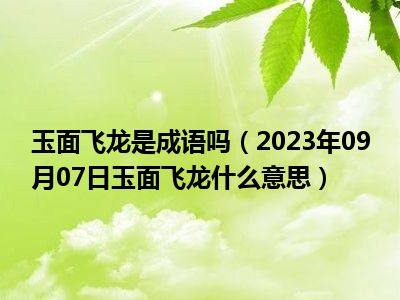 玉面飞龙是成语吗（2023年09月07日玉面飞龙什么意思）