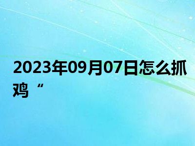 2023年09月07日怎么抓鸡“