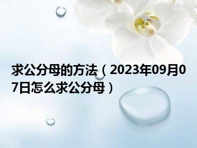 求公分母的方法（2023年09月07日怎么求公分母）