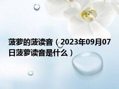 菠萝的菠读音（2023年09月07日菠萝读音是什么）