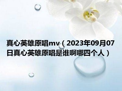 真心英雄原唱mv（2023年09月07日真心英雄原唱是谁啊哪四个人）