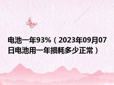 电池一年93%（2023年09月07日电池用一年损耗多少正常）