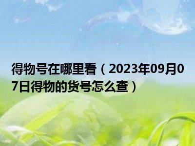 得物号在哪里看（2023年09月07日得物的货号怎么查）